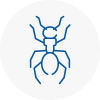 Ant Removals In Belsize Park