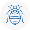 Bed Bug Extermination In Belsize Park