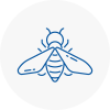 Bee Nest Removal Belsize Park