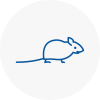Mice Exterminators In Belsize Park