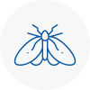Moth Control Specialists In Belsize Park