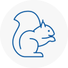 Belsize Park Rodent Removals
